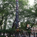 Pioneer Square - Community Organizations