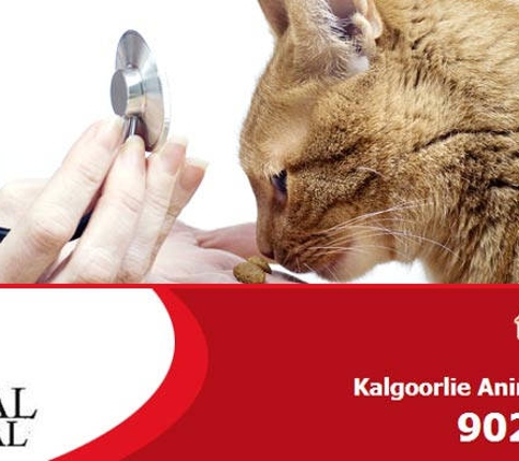 The Animal Hospital - Kalgoorlie, WA