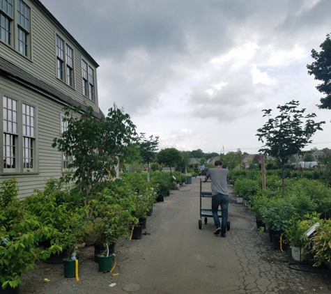 Mahoney's Garden Center - Winchester - Winchester, MA