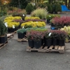 Cedar Grove Garden Center gallery