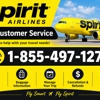Spirit Airlines gallery