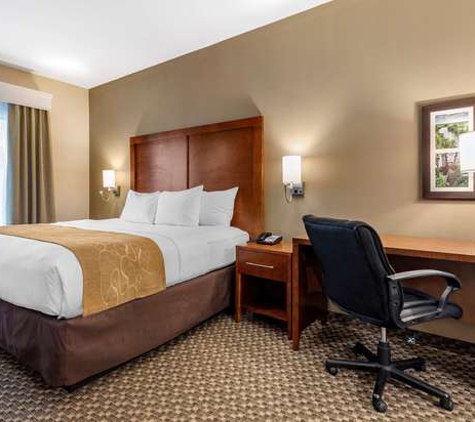 Comfort Suites - Lufkin, TX