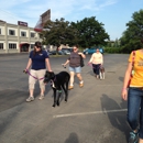 Tuxedo's K9 Training Camp - Dog Day Care