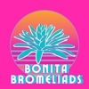 Bonita Bromeliads gallery