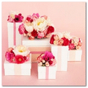 Gallery Image Number 1