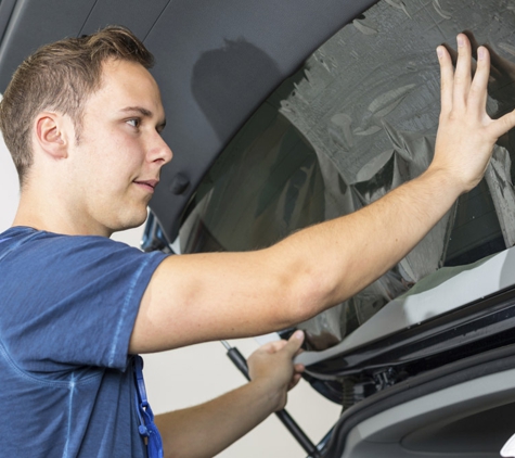 Elite Window Tinting - Mcdougalls Hill, NSW. We Also Tint, Trucks, Tractors And Earthmoving Machinery