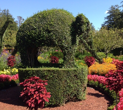 Green Animals Topiary Gardens - Portsmouth, RI