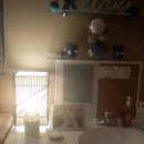 Adel Massage - Massage Therapists