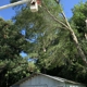 HLA Lawn & Tree Service