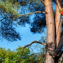 John Egart's Tree Service - Tree Service