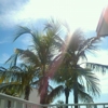 Coquina On the Beach Resort gallery