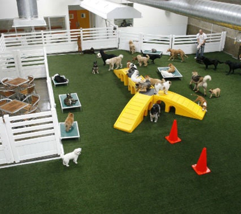 L A Dogworks - Los Angeles, CA