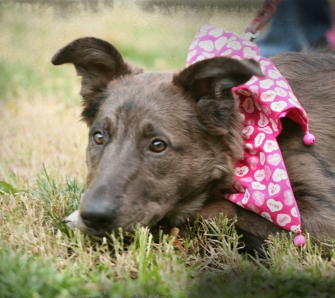 At The End Of Your Leash - Riverside, CA. Cocoa Chanel