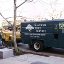 Traverso Tree Service - Arborists