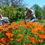 Greer Bill Landscaping