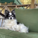 Circle Lake Ranch Pet Resort - Pet Boarding & Kennels
