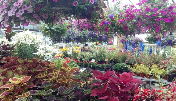 Deep Creek Garden Center - Gresham, OR