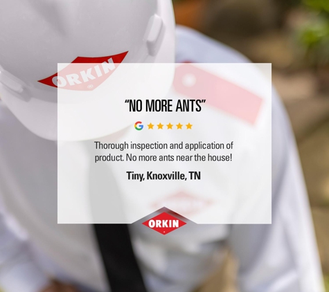 Orkin Pest & Termite Control - Knoxville, TN