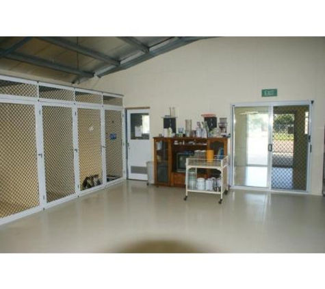 Simply Catz - Jensen, QLD