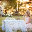 Half Pint Pony Parties & Petting Zoo - Party & Event Planners