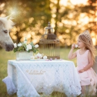 Half Pint Pony Parties & Petting Zoo