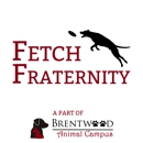 Fetch Fraternity Doggy Daycare - Dog Day Care