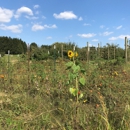 Appleberry Farm - Historical Places