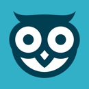Online Owls - Consumer Electronics
