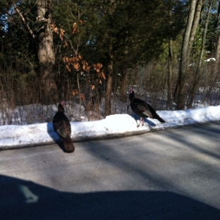 Schlitz Audubon Nature Center - Bayside, WI