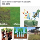 Gutierrez Tree Service & Landscaping - Stump Removal & Grinding