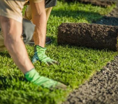 Nelson's Hardscape and Tree Service