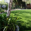 Central Coast Synthetic Turf - Landscape Contractors