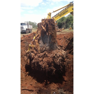 Total Tree Services - Mount Rascal, QLD