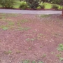 Alabama Lawn Masters Inc