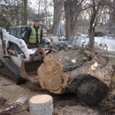 Stephenson Tree Care Inc - Tree Service