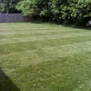 Pro Lawn and Landscapes - Lawn Maintenance