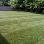 Pro Lawn and Landscapes