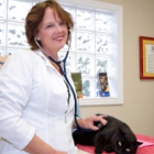 Best Friends Animal Hospital & Pet Hotel