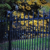 Gallery Image Number 5