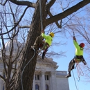 Boley Tree & Landscape Care Inc - Landscaping & Lawn Services