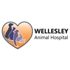 Wellesley Animal Hospital gallery