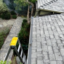 Squeegee Clean - Gutters & Downspouts