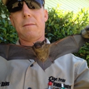 Cape Fear Wildlife Control, LLC - Pest Control Services-Commercial & Industrial