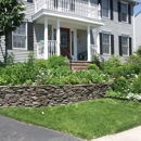Carpenter Costin Tree and Landscape - Arborists