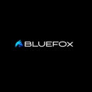 Blue Fox Remodeling - Kitchen Planning & Remodeling Service