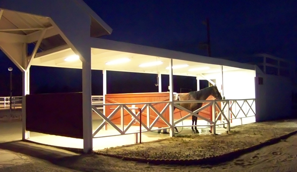 Diamond T Equestrian - Fort Mohave, AZ