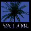 Valor Tree Specialist - Tree Service