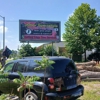 Arbor Specialists Tree Health Care gallery