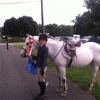 Equestrian Training Center gallery