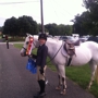 Equestrian Training Center